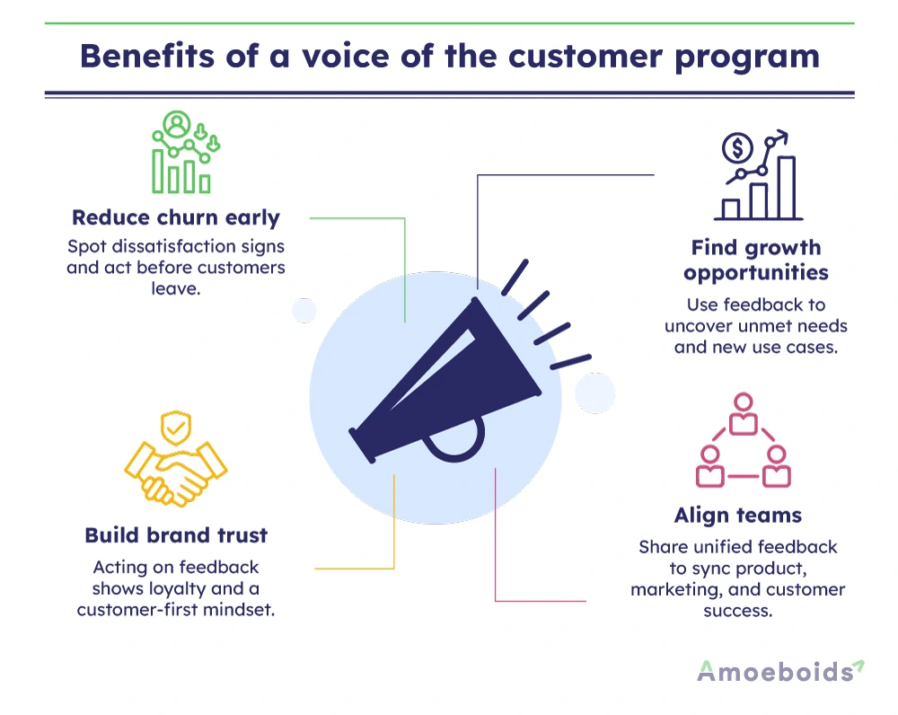 Benefits-of-a-voice-of-the-customer-program-infographic1-1